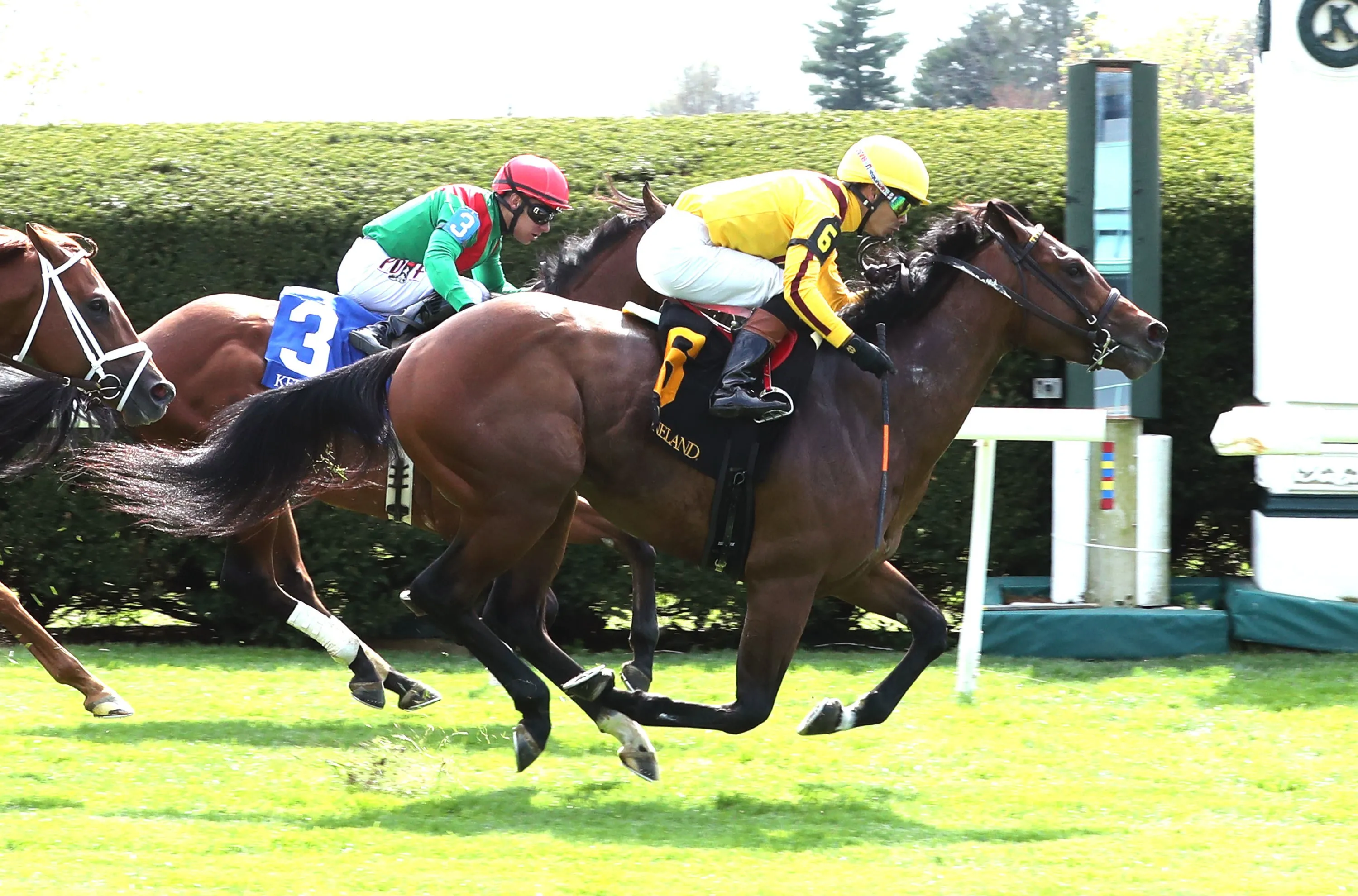 Fandom wins Palisades at KEE April 7 2024