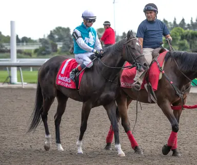 Tiller doubles up with Yacht Boy, Humber River