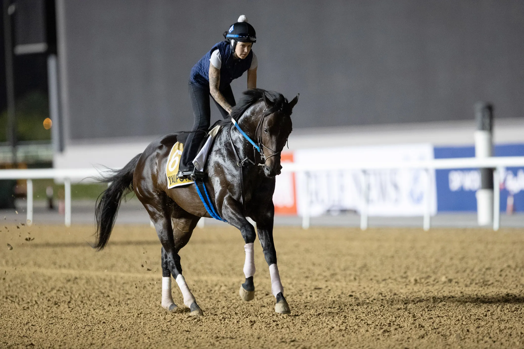 Yaupon trains at Meydan Racetrack on March 21