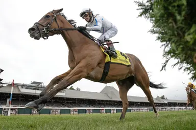 Slay the Day retired