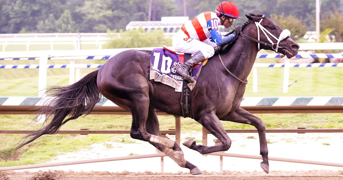 Moquett finds meaning in Hymn's Frank J. De Francis Memorial Dash victory