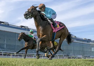 Sunna puts grass streak on the line in Caress