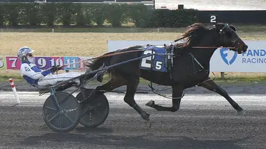 Meadowlands:  Siegelman connects with Bronzer for 3,000th driving victory