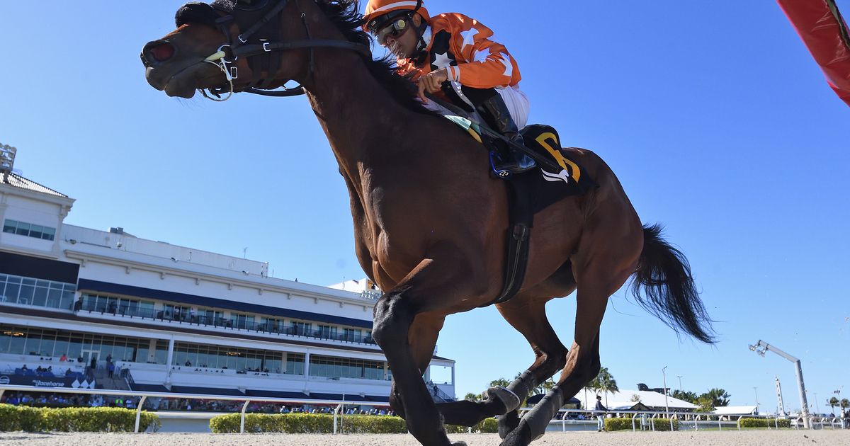 Starship Melody ofrece a Smullen una buena oportunidad de seguir ganando