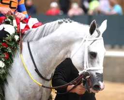 White Abarrio giving Joseph all the right signs as Stephen Foster nears