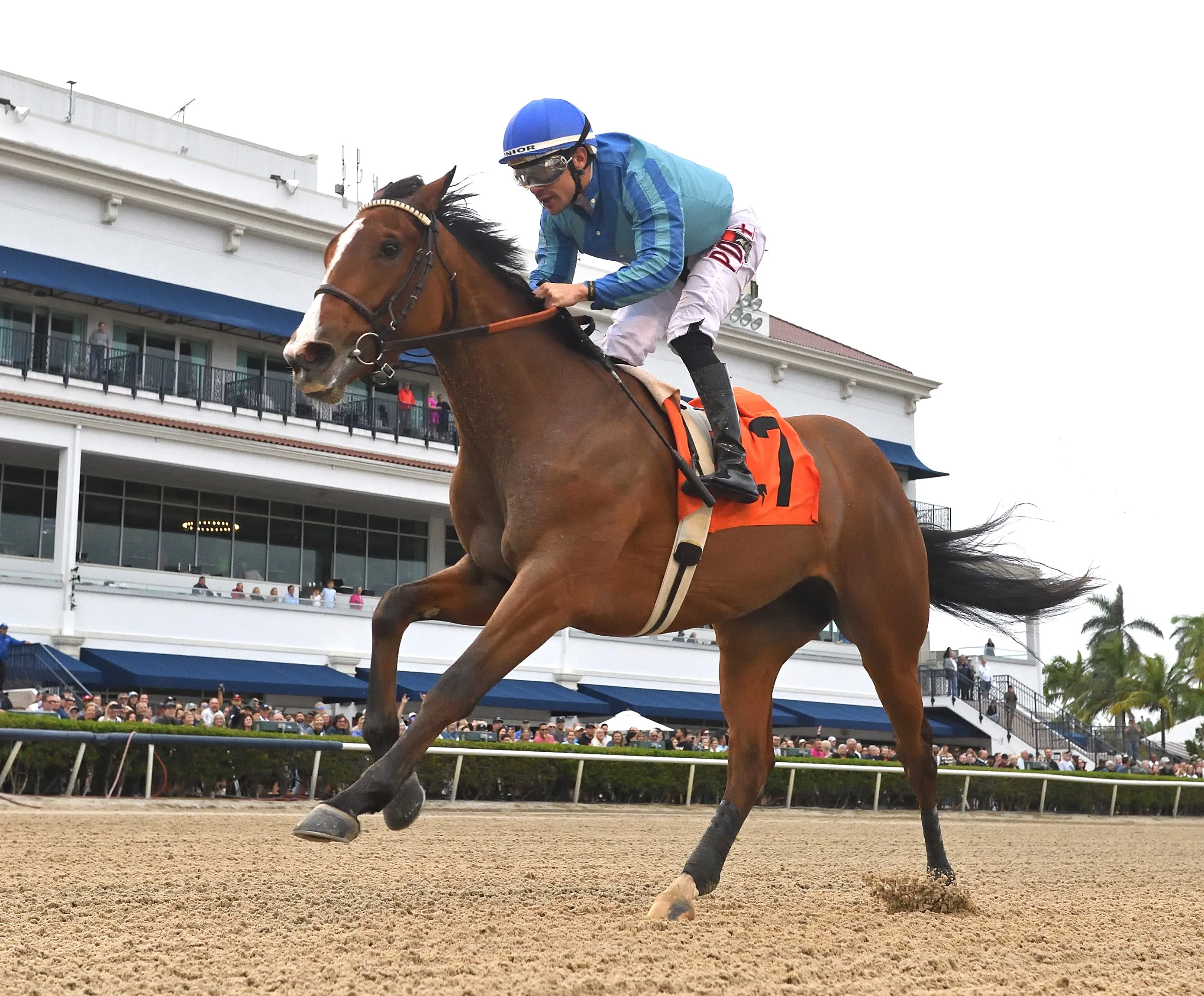 Roswell wins maiden at GP Jan 14 2024