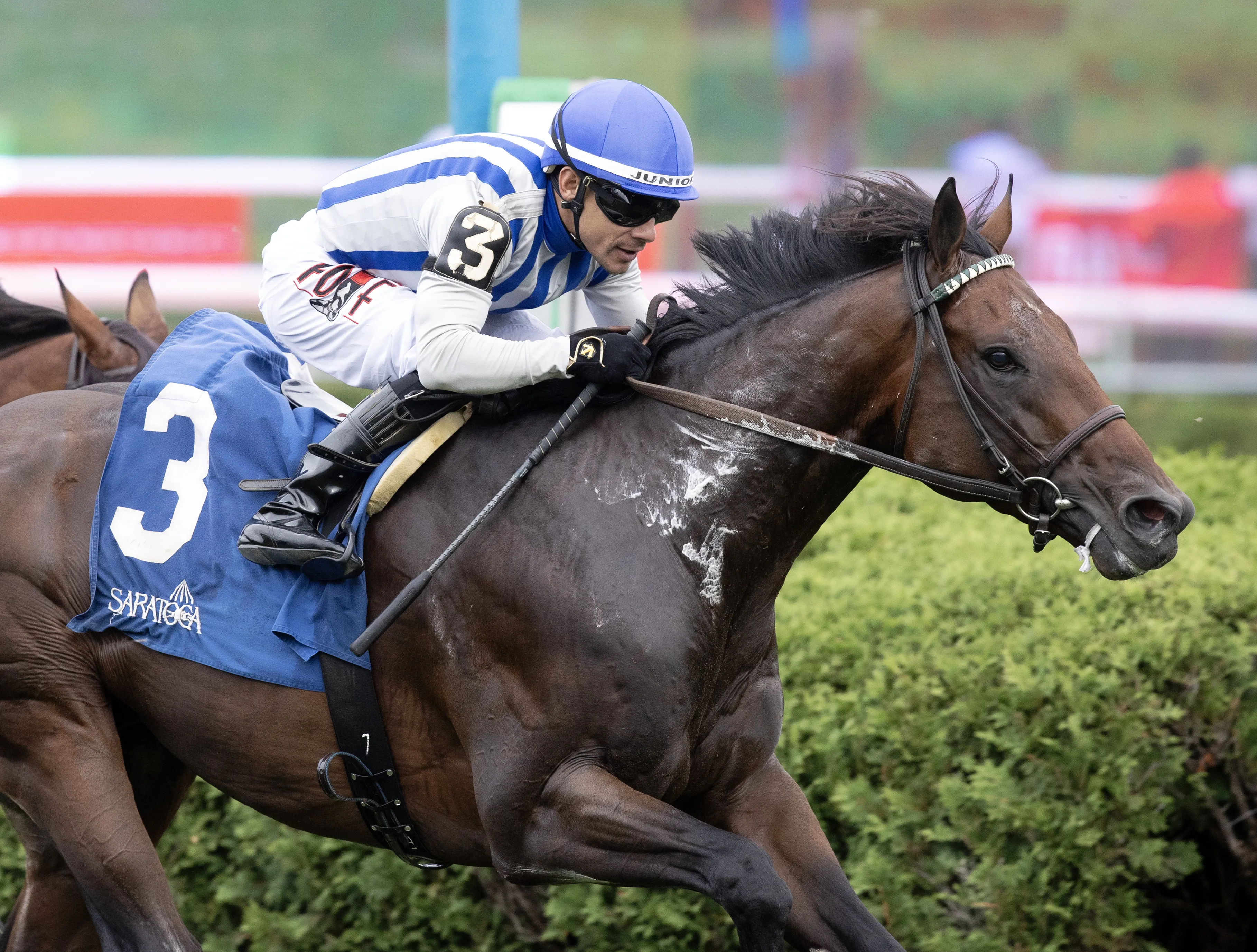 Stars and Strides03.9-1-25.BL_.jpg