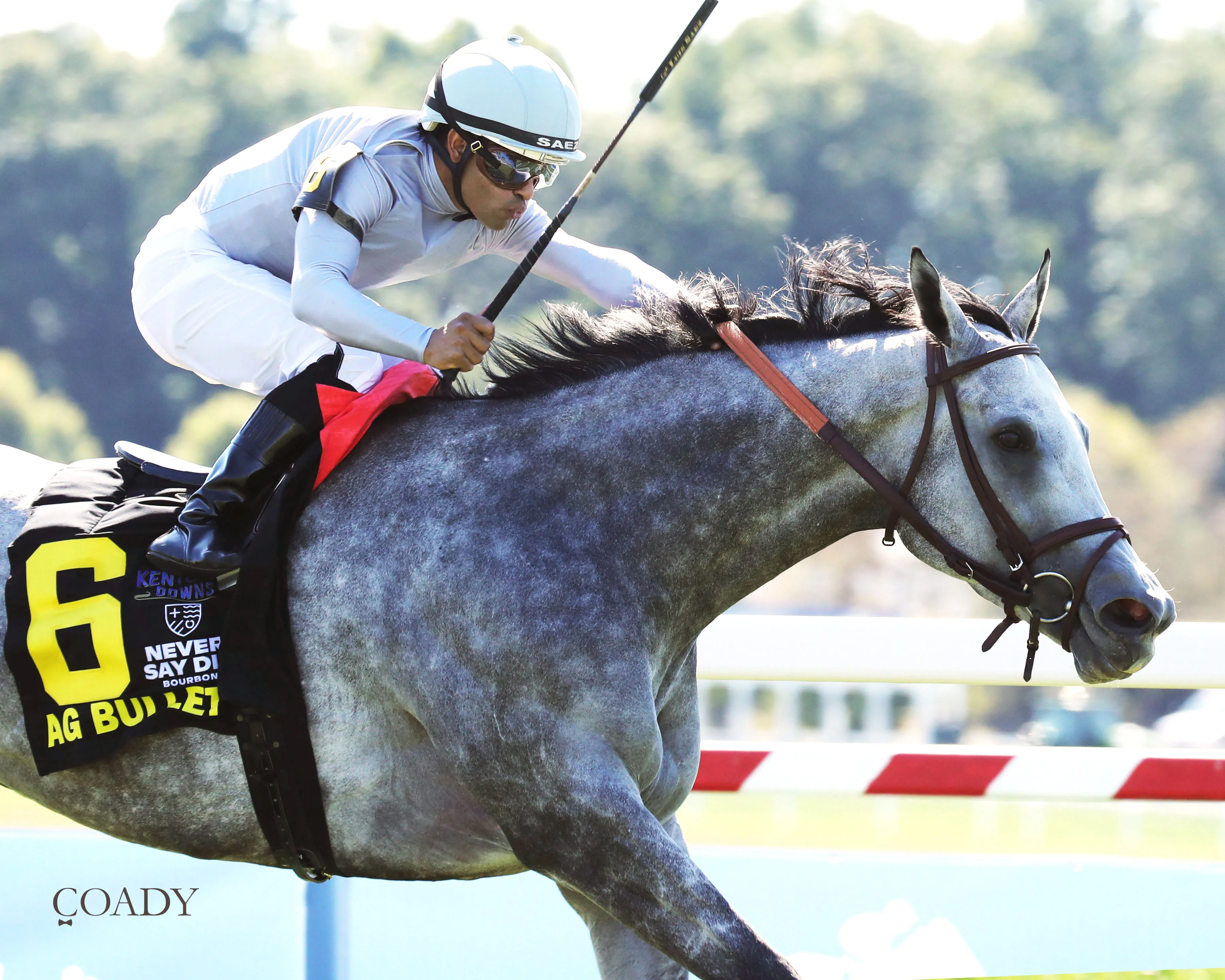 AG BULLET - Never Say Die Ladies Turf Sprint Stakes - G2 - 08-30-25 - R08 - Kentucky Downs - Finish 03 - Cady Coulardot.jpg