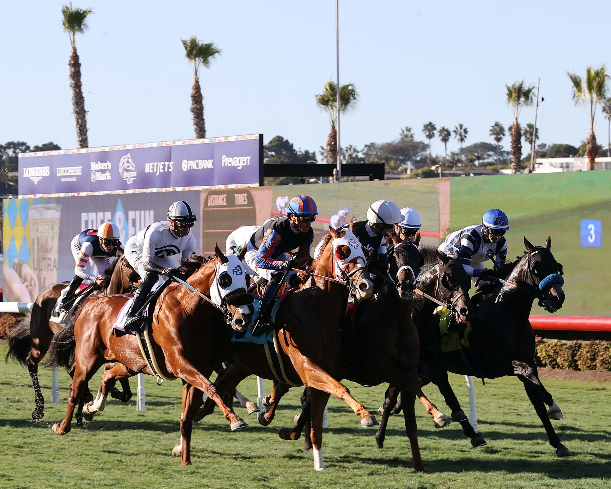 King of Gosford.First time by.Del Mar scenic.10-31-24.SR_.jpg