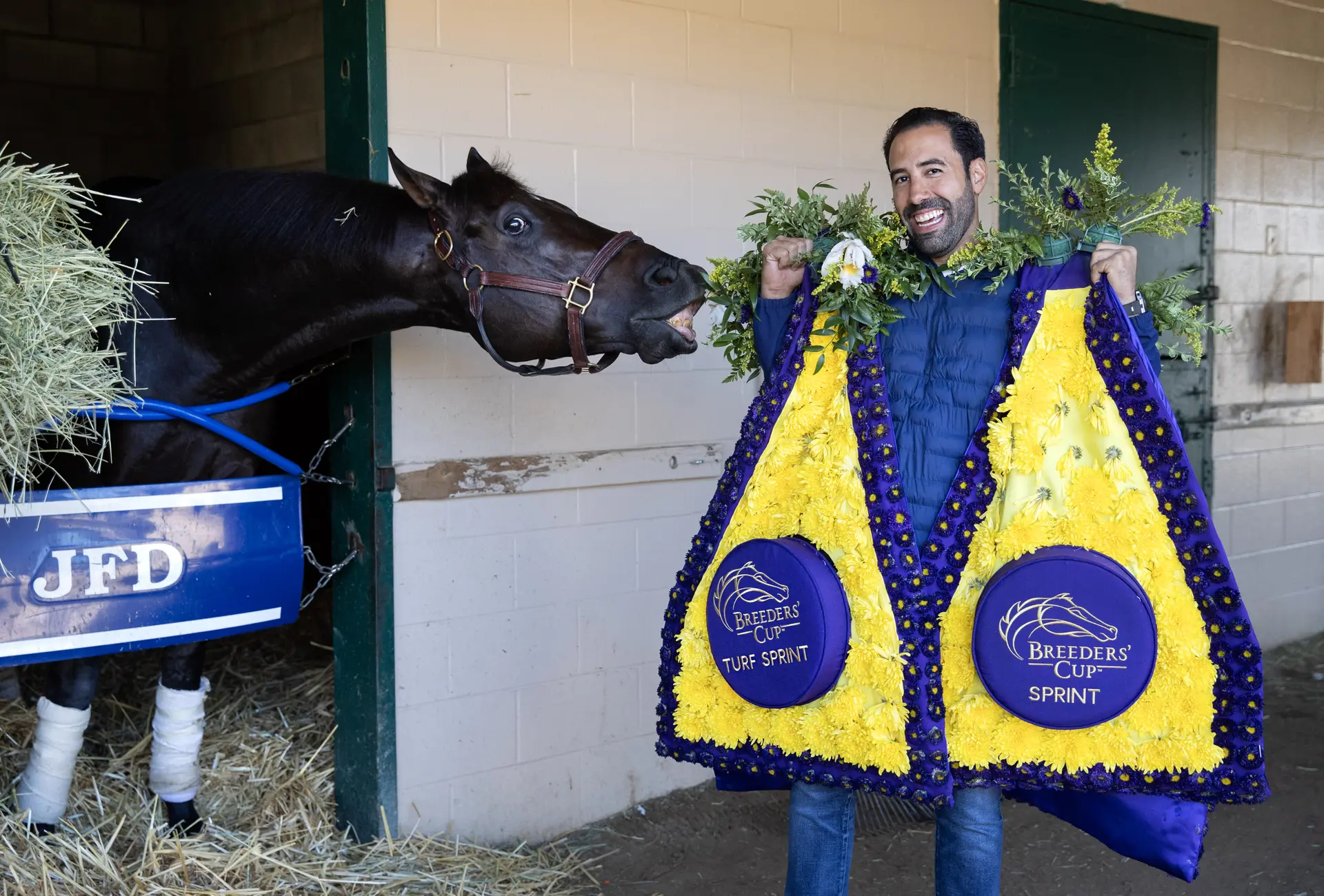 Breeders' Cup: D'Angelo says best yet to come from Bentornato