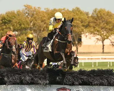 2025 Eclipse Awards: Swore