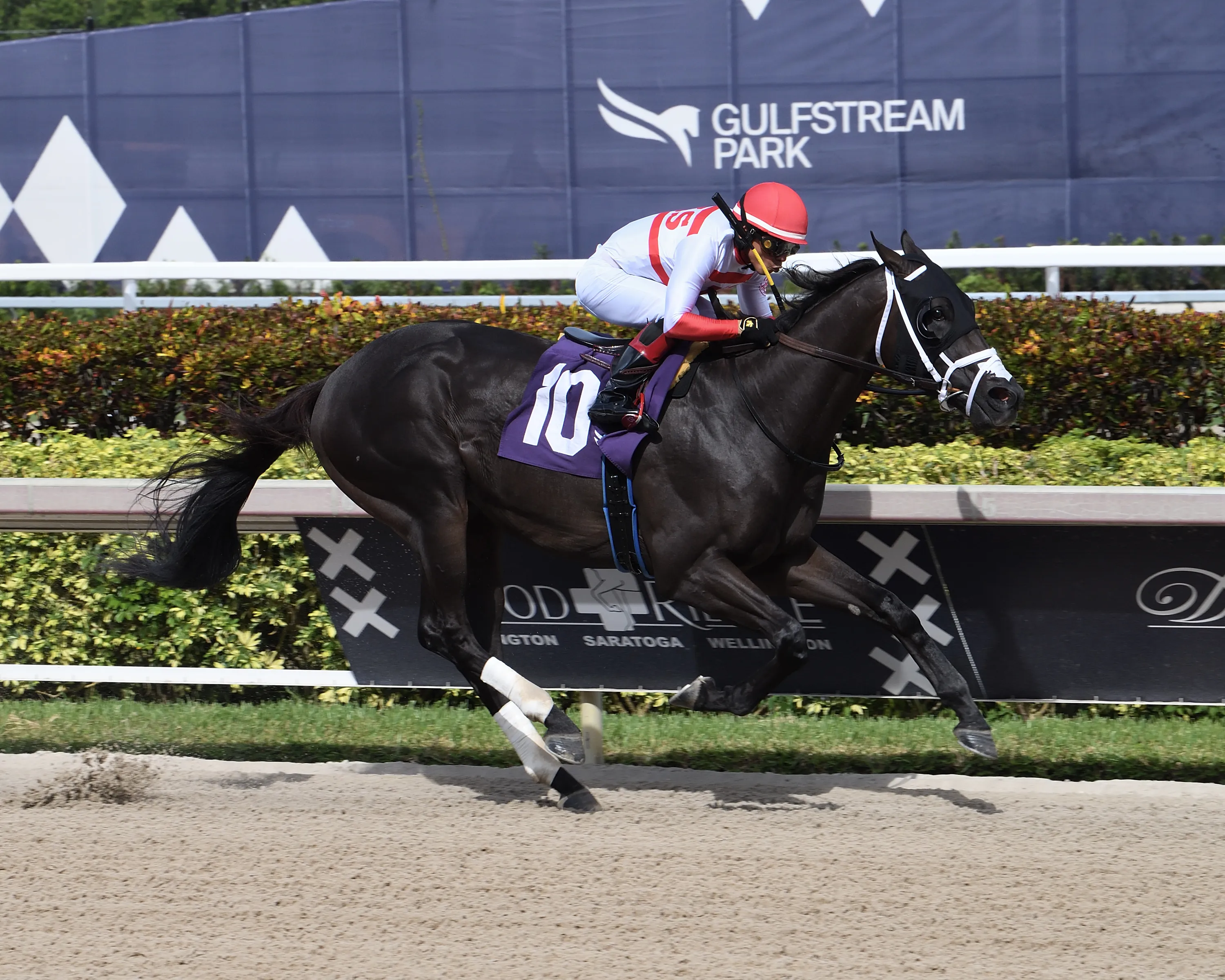 Bentornato the FSS Dr Fager credit Lauren King2.jpg