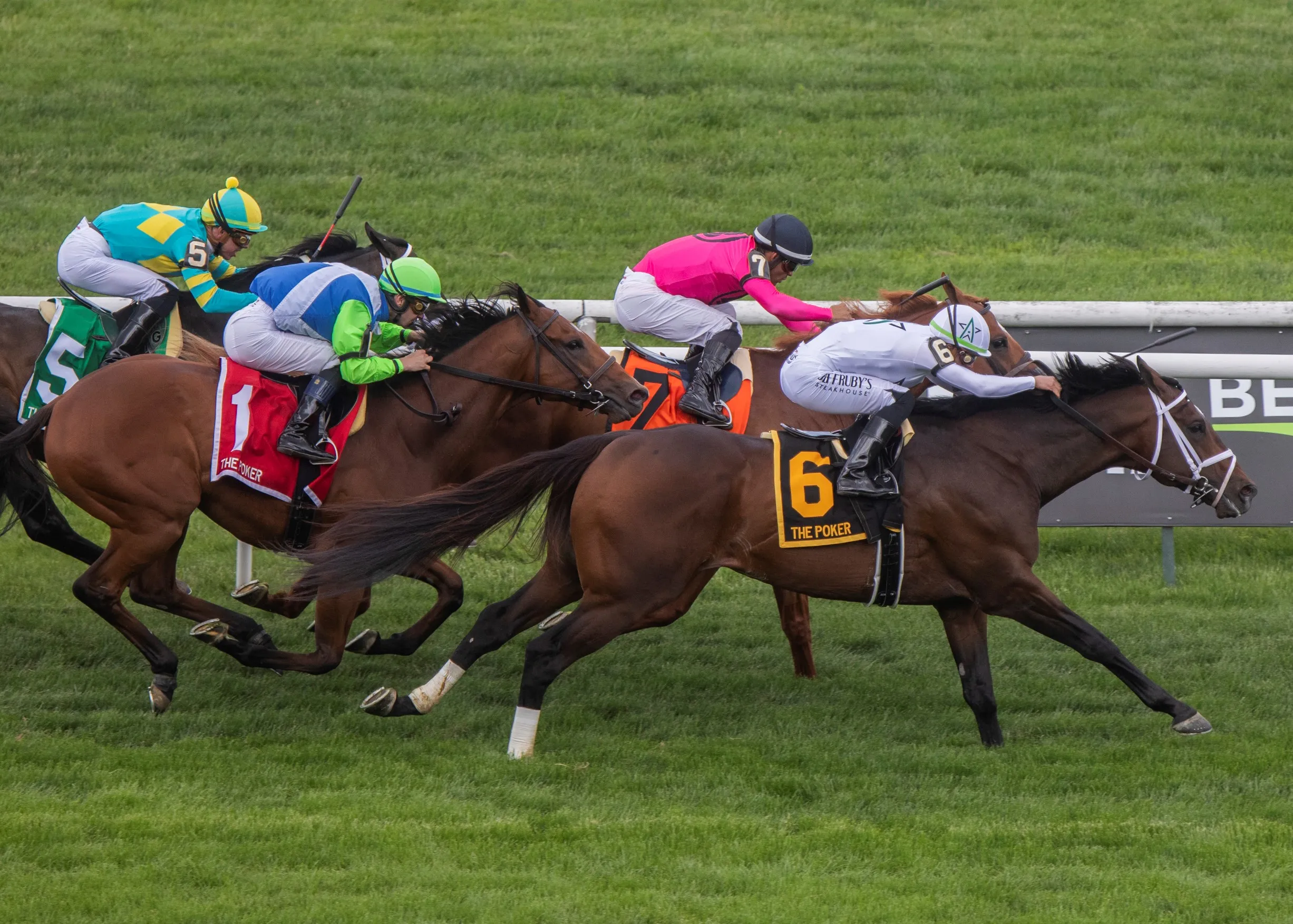 Emmanuel (No. 6) runs down Filo Di Arianna in Poker at BEL June 10 2023