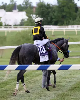 Betting on Preakness down 6.2 percent