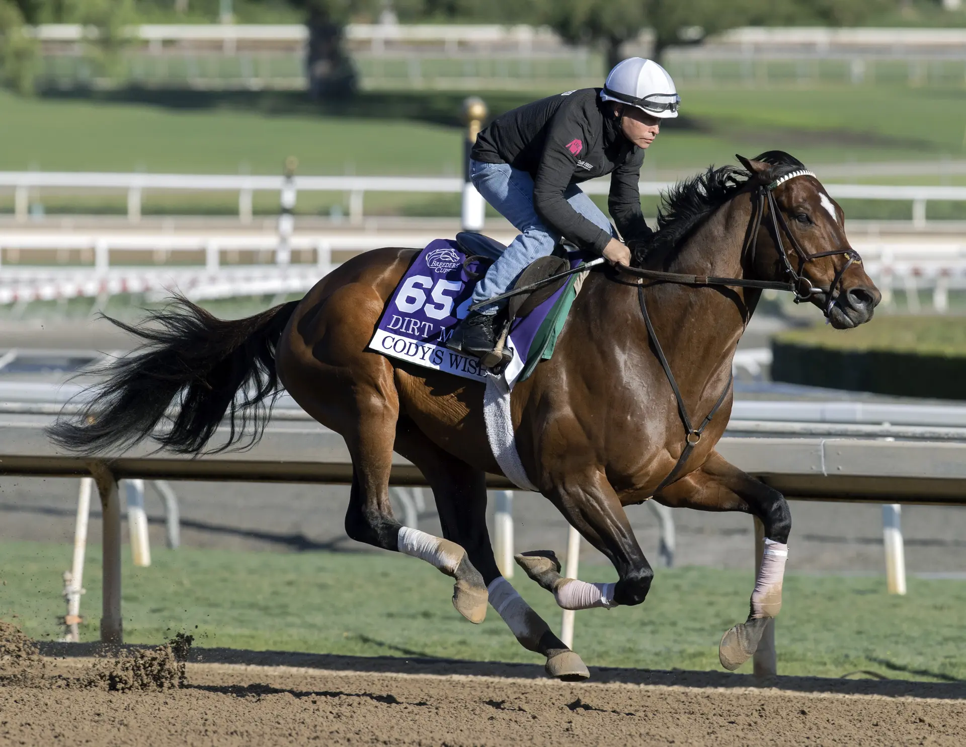 Yearling season kicks off with Fasig-Tipton July