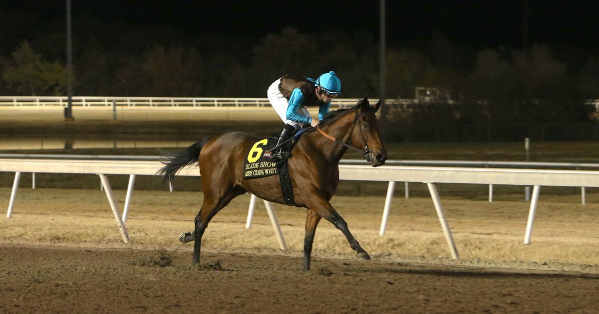 Miss Code West remains unbeaten in Slide Show