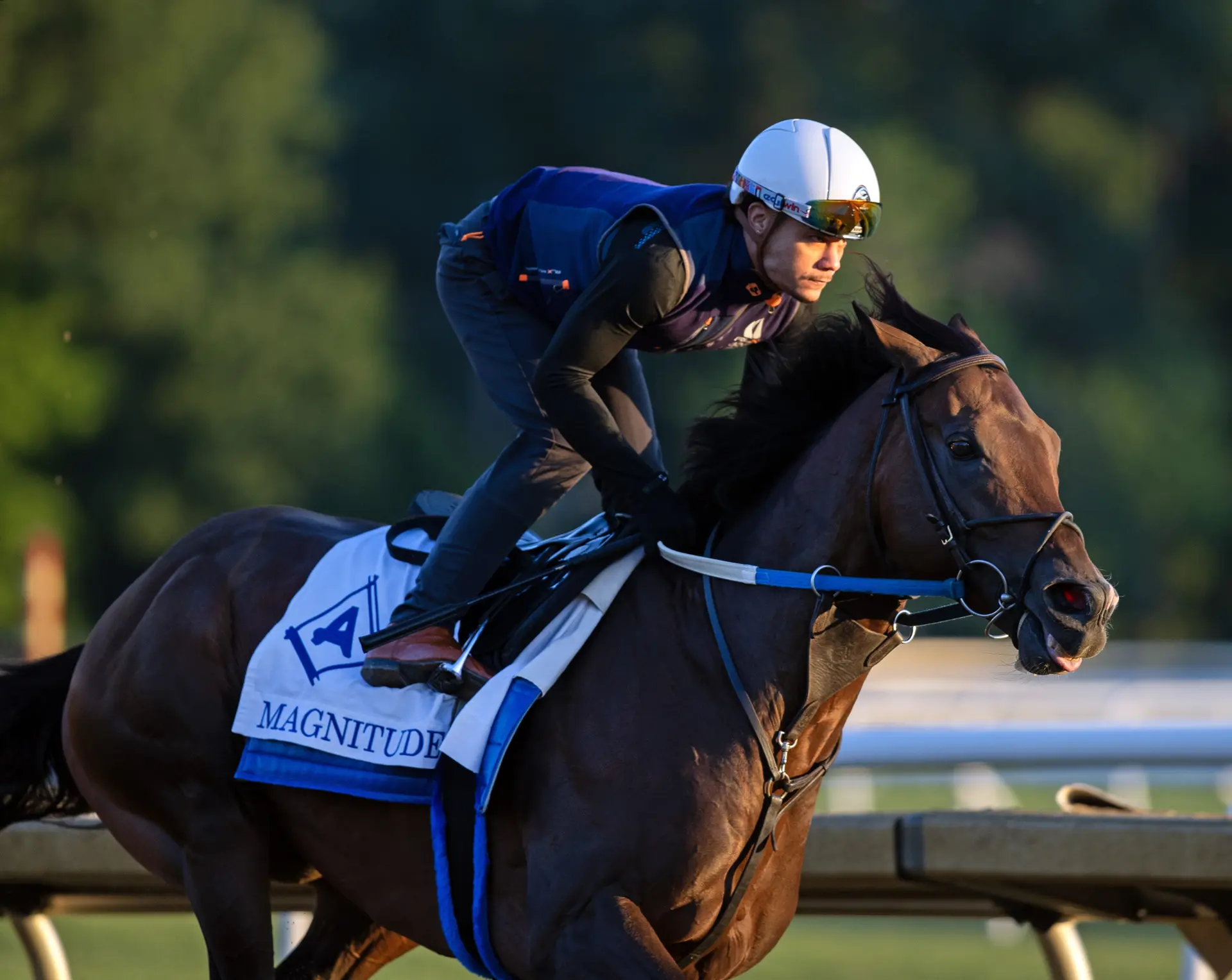 Magnitude to stand at Ashford at end of career