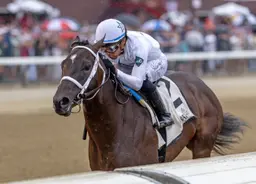 The Good Life steals the show with maiden victory