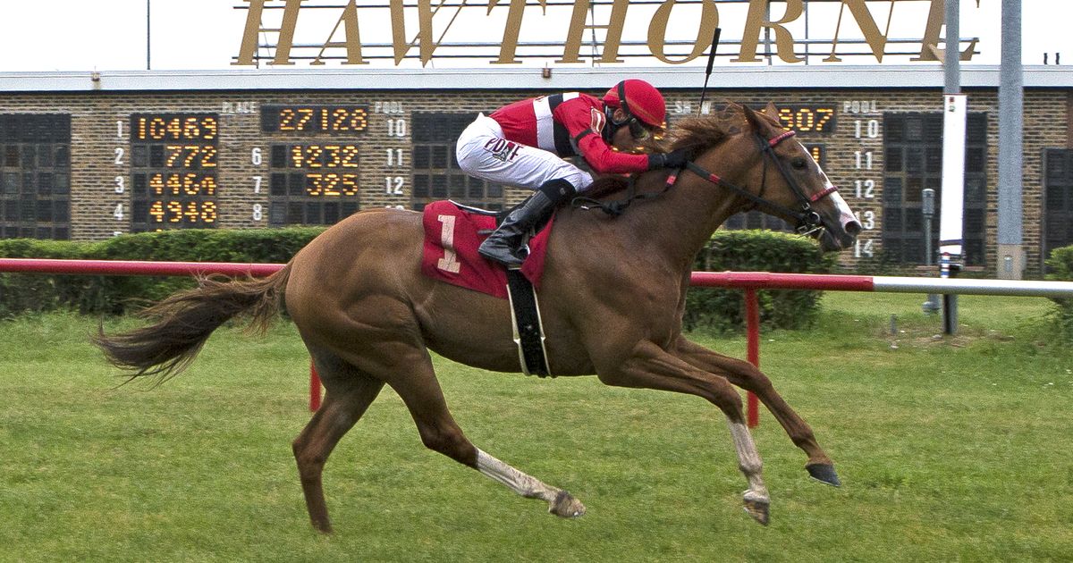 Hawthorne, Chicago's last racetrack, sold to 'non-racing entity'