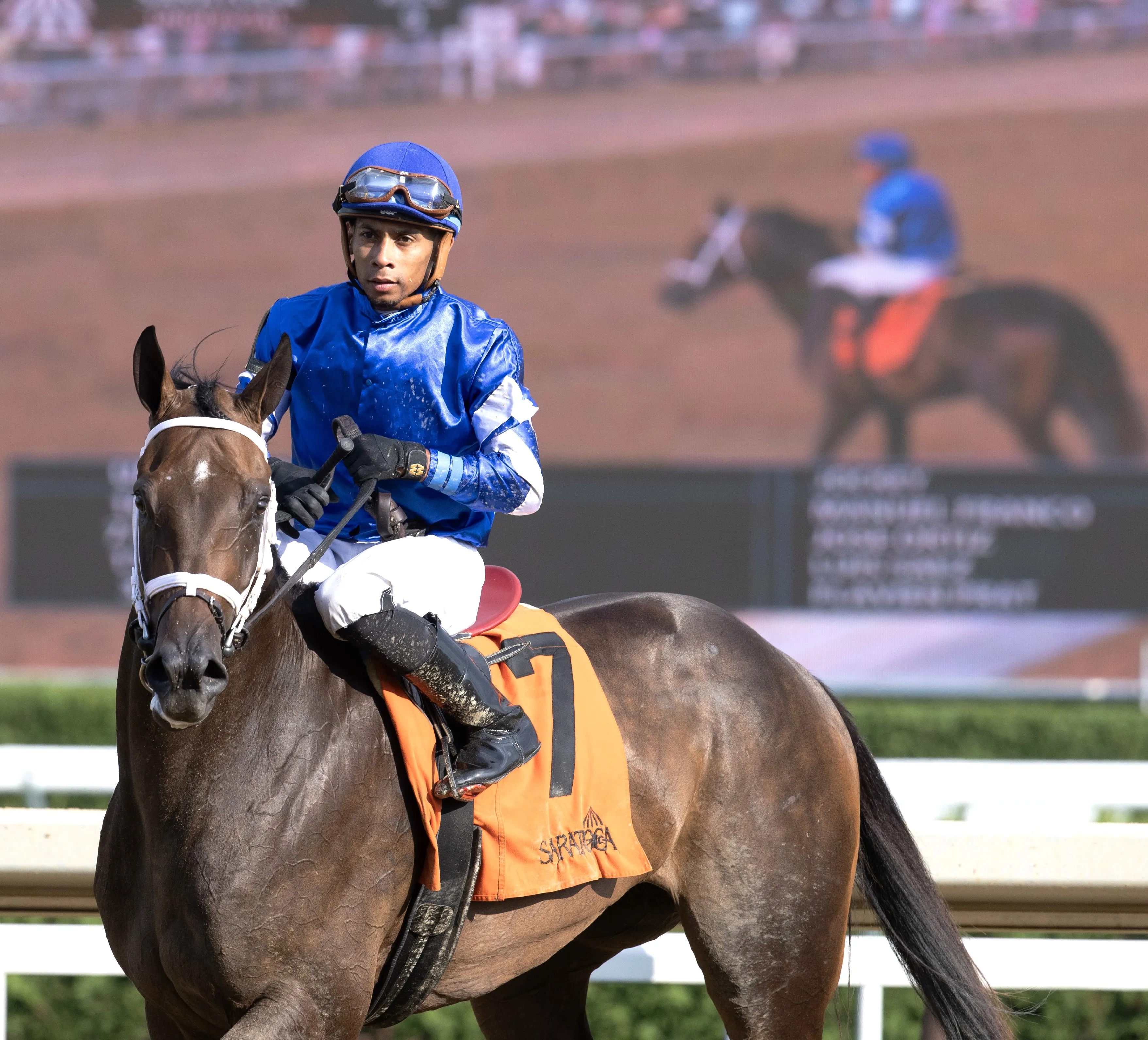 Immersive after maiden win at SAR July 21 2024