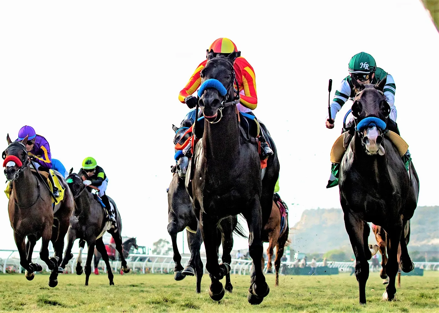 Speed Boat Beach (center) beats Game Time in Cecil B. DeMille at DMR Dec 4 2022