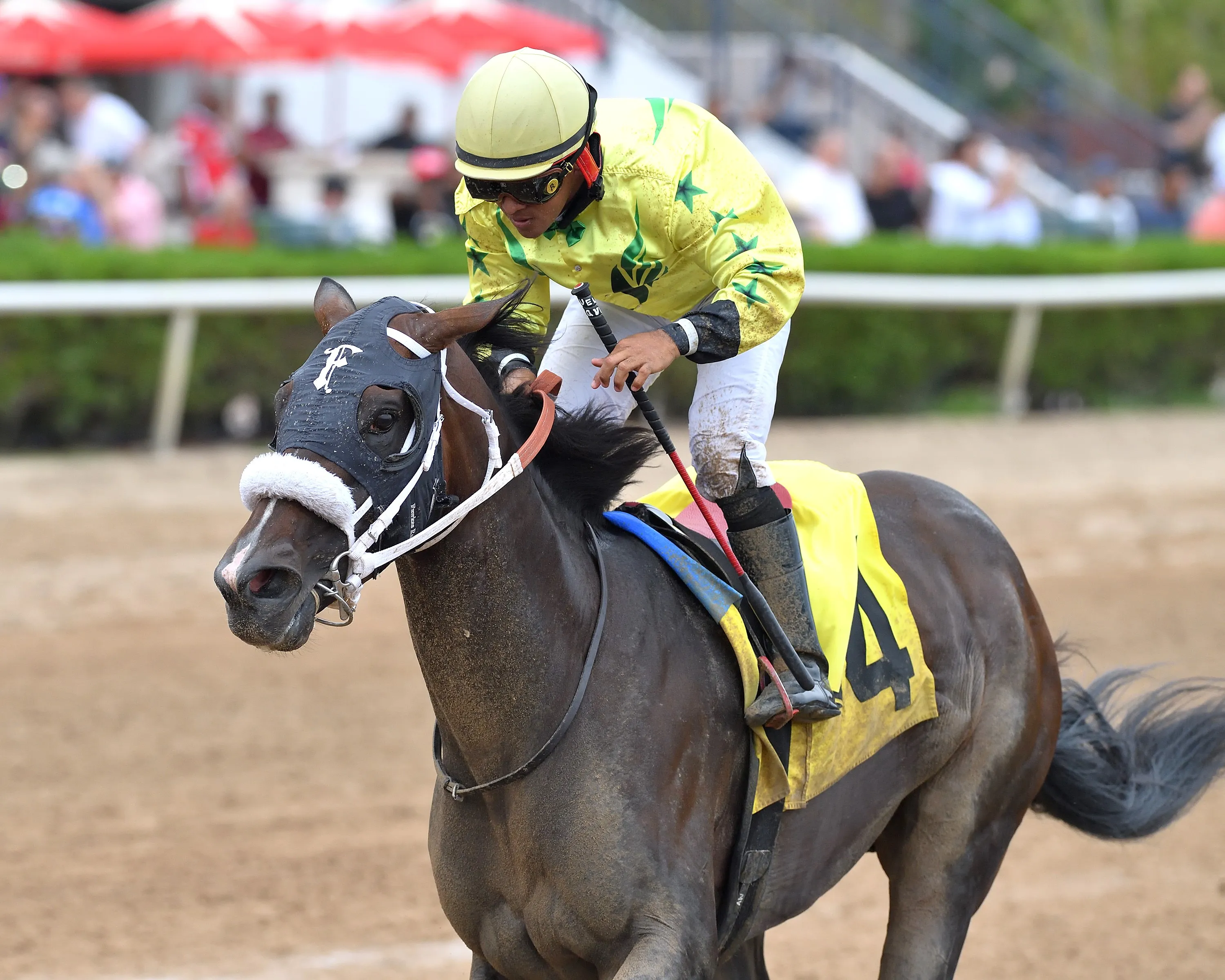 Shaq Diesel wins Big Drama at GP May 24 2025