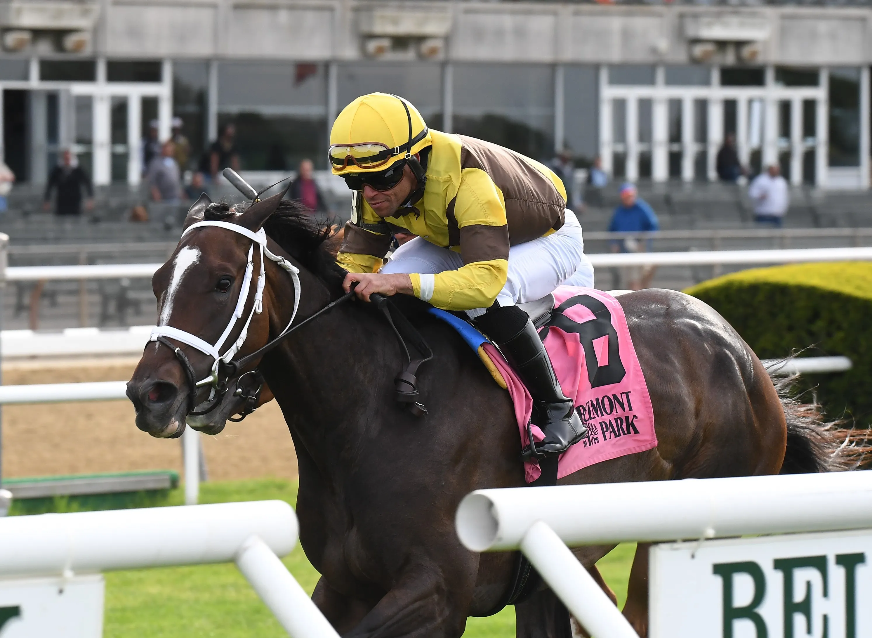 Bubble Rock wins License Fee at BEL May 7 2023