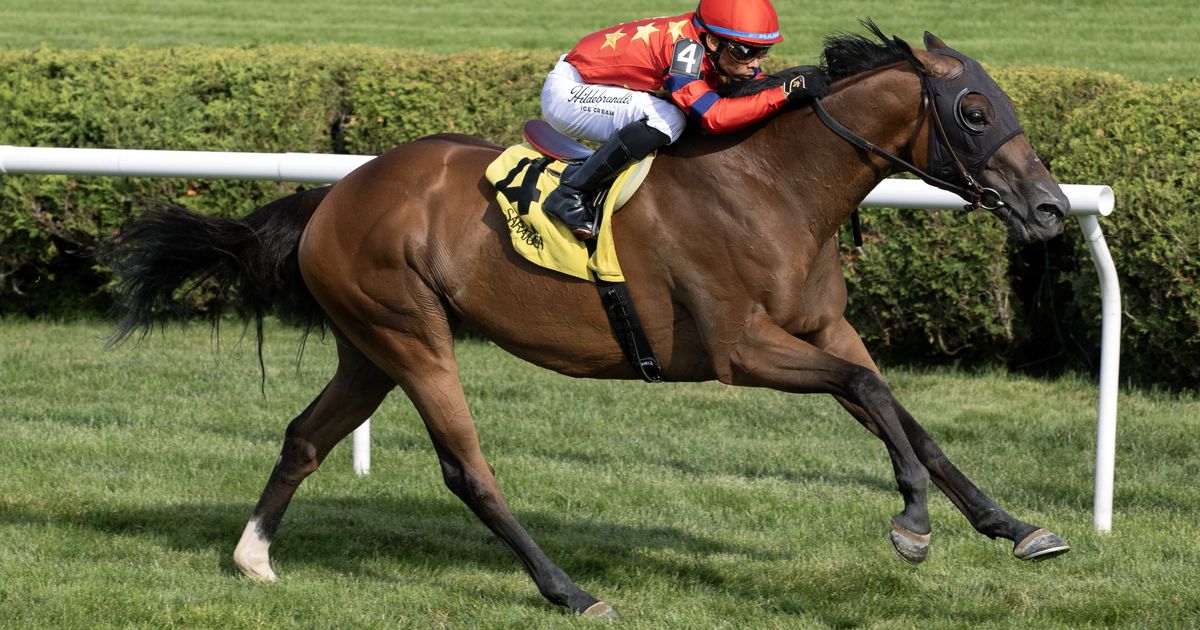 Twenty Six Black finds course, pace to his liking in Harvey Pack Stakes