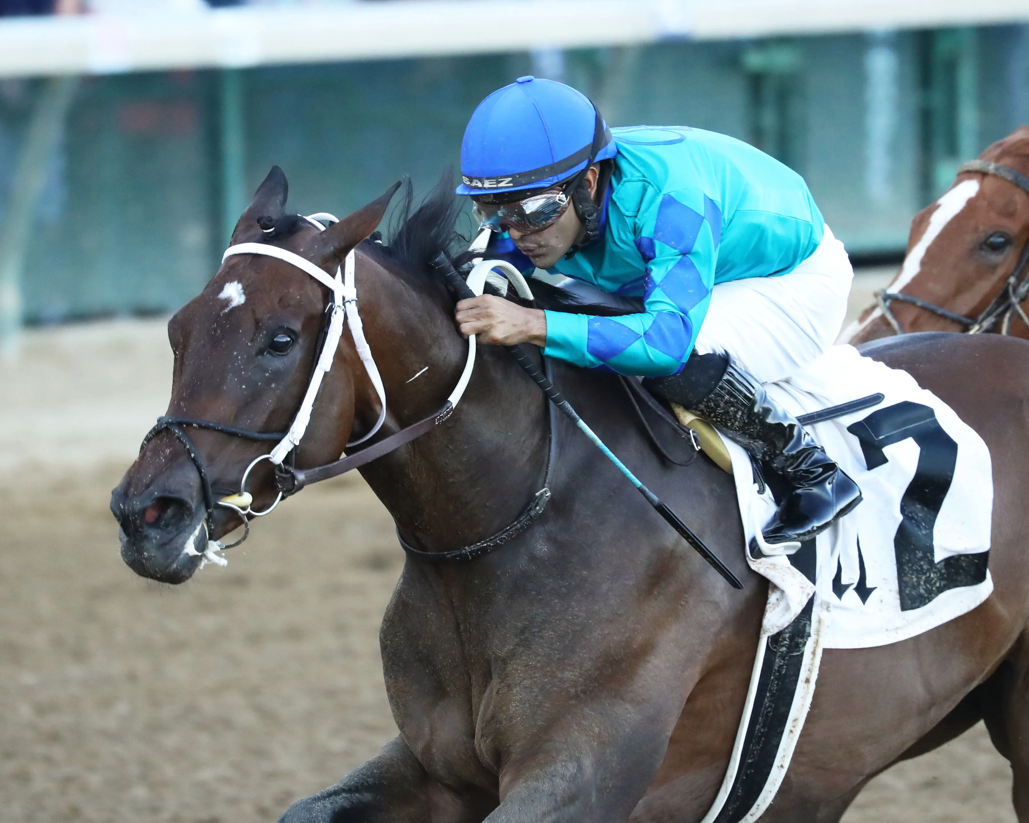 OUR PRETTY WOMAN - The Monomoy Girl Overnight Stakes - 3rd Running - 06-15-24 - R05 - Churchill Downs - Inside Finish 01 - Jetta Vaughns.jpg