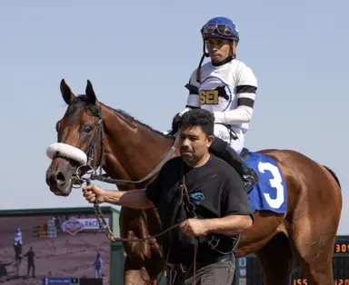 Rodriguez prefers to keep Talk to Me Jimmy with statebreds
