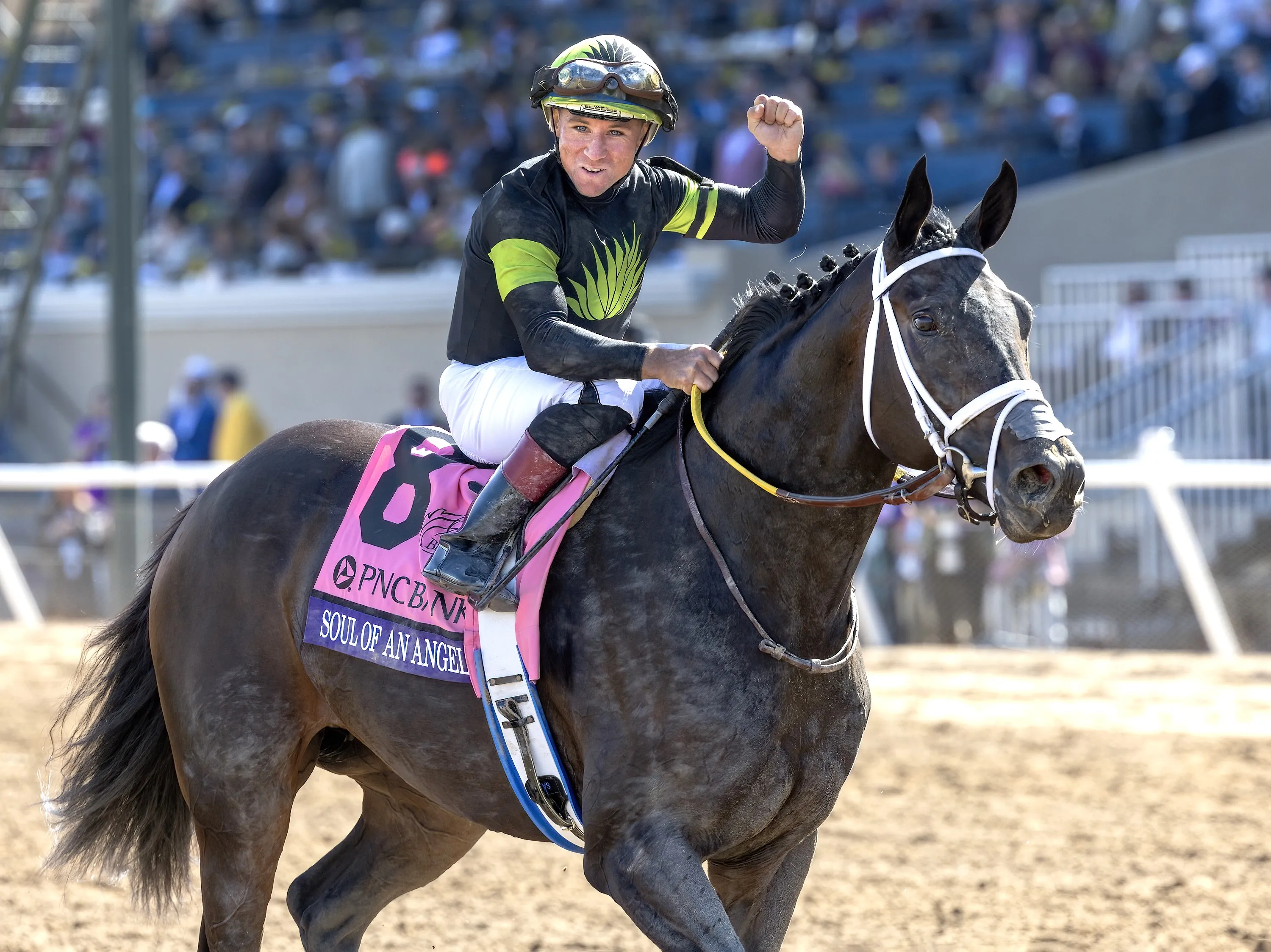 Soul of an Angel.Drayden Van Dyke after BC F-M Sprint win at DMR Nov 2 2024