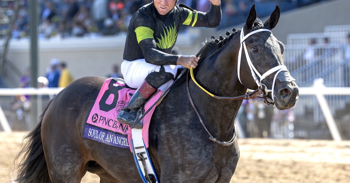 Champion Soul of an Angel selling on Fasig-Tipton Digital platform