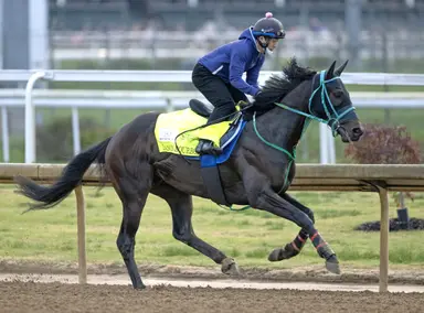 2026 Kentucky Derby Clocker: Danon Bourbon, Wonder Dean train hard for a second straight day