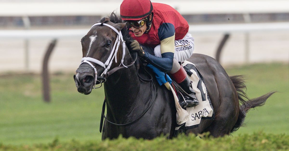 Cy Fair proves best over rival Sapphire Beach in Coronation Cup