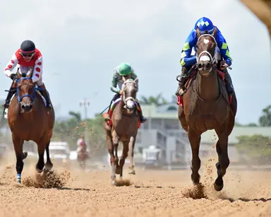 Roadster, off to red-hot start, has Slew Lady in the starting blocks