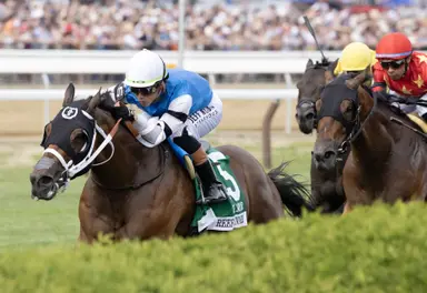 Reef Runner out for remainder of year; could race in 2027