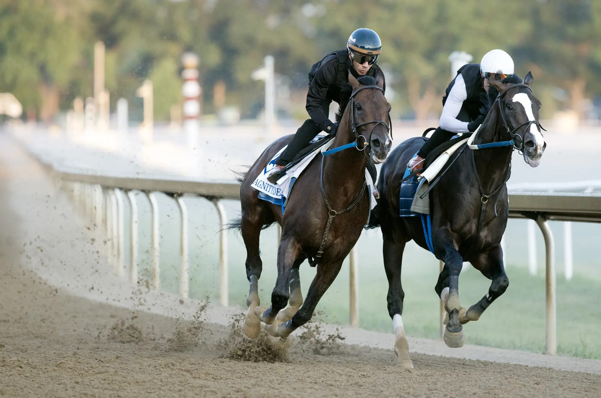 Magnitude sizzles in serious work for Whitney