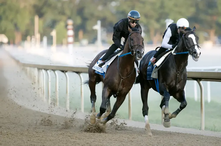 Magnitude.Tiztastic03.7-25-26.BL