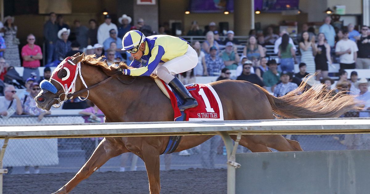 Si That Tiger snaps Slews Tiz Whiz's Governor's Stakes streak