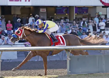Si That Tiger snaps Slews Tiz Whiz's Governor's Stakes streak