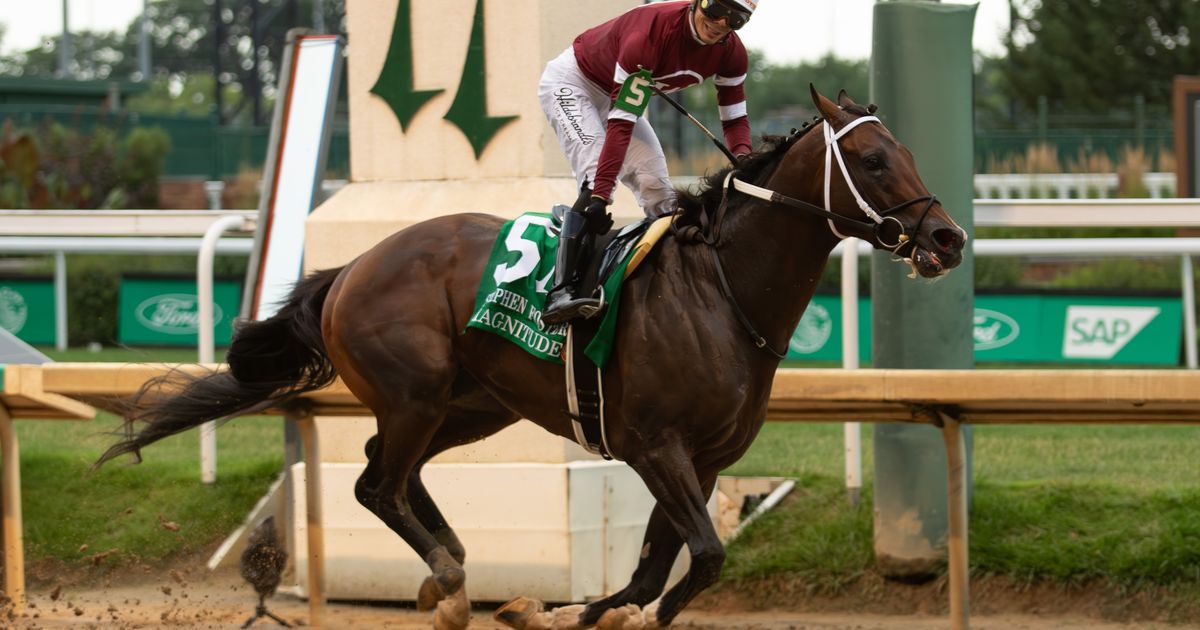 Asmussen riding high as Magnitude dominates Horse of Year picture
