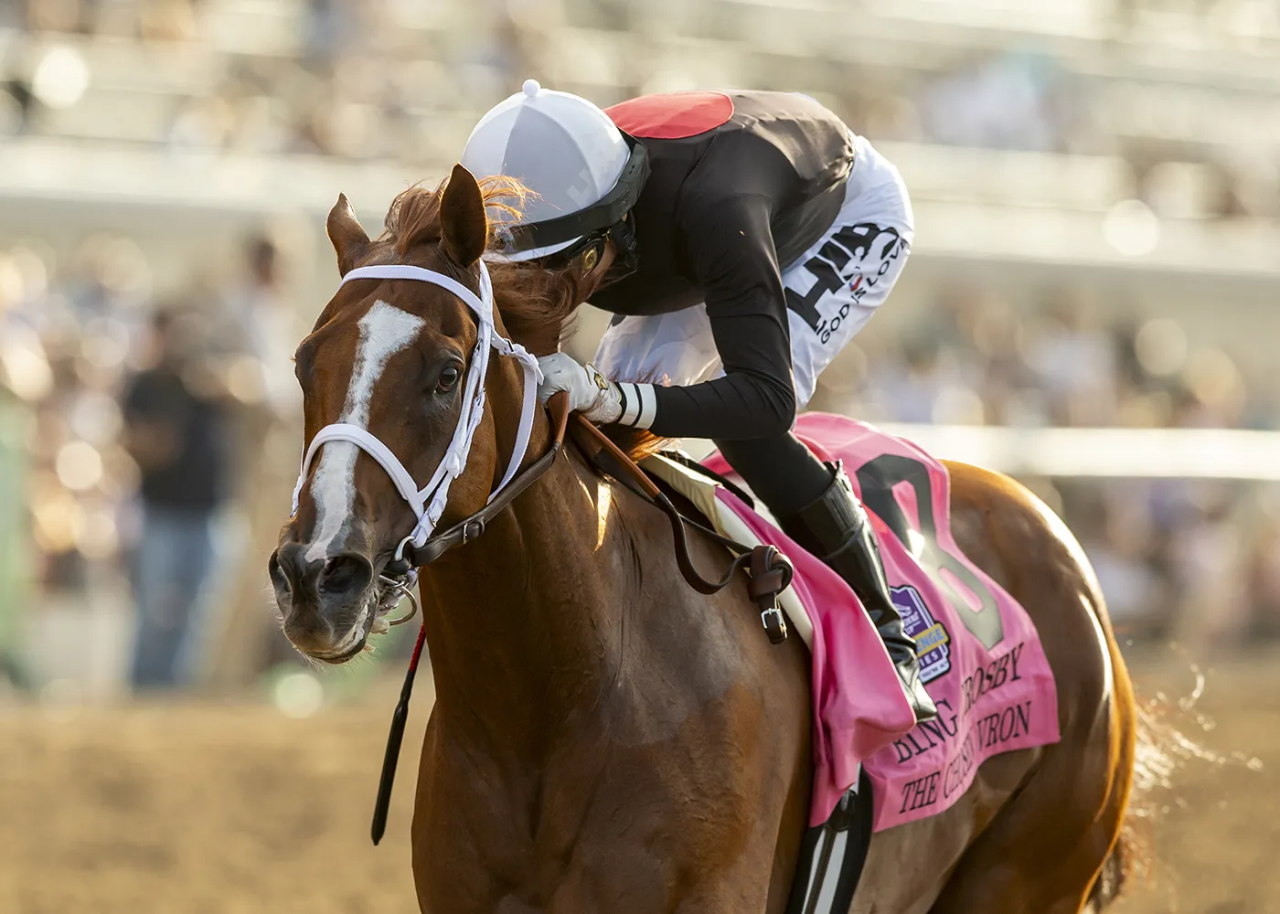 Eclipse Awards The Chosen Vron