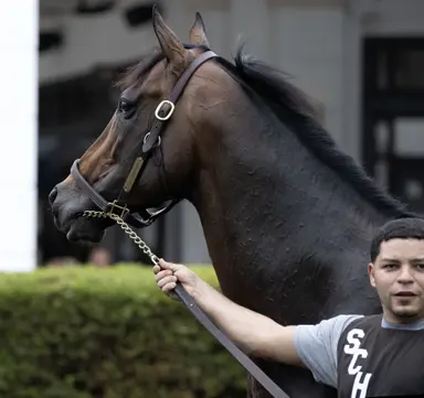 Full Serrano scratched from San Diego with ongoing feet issues