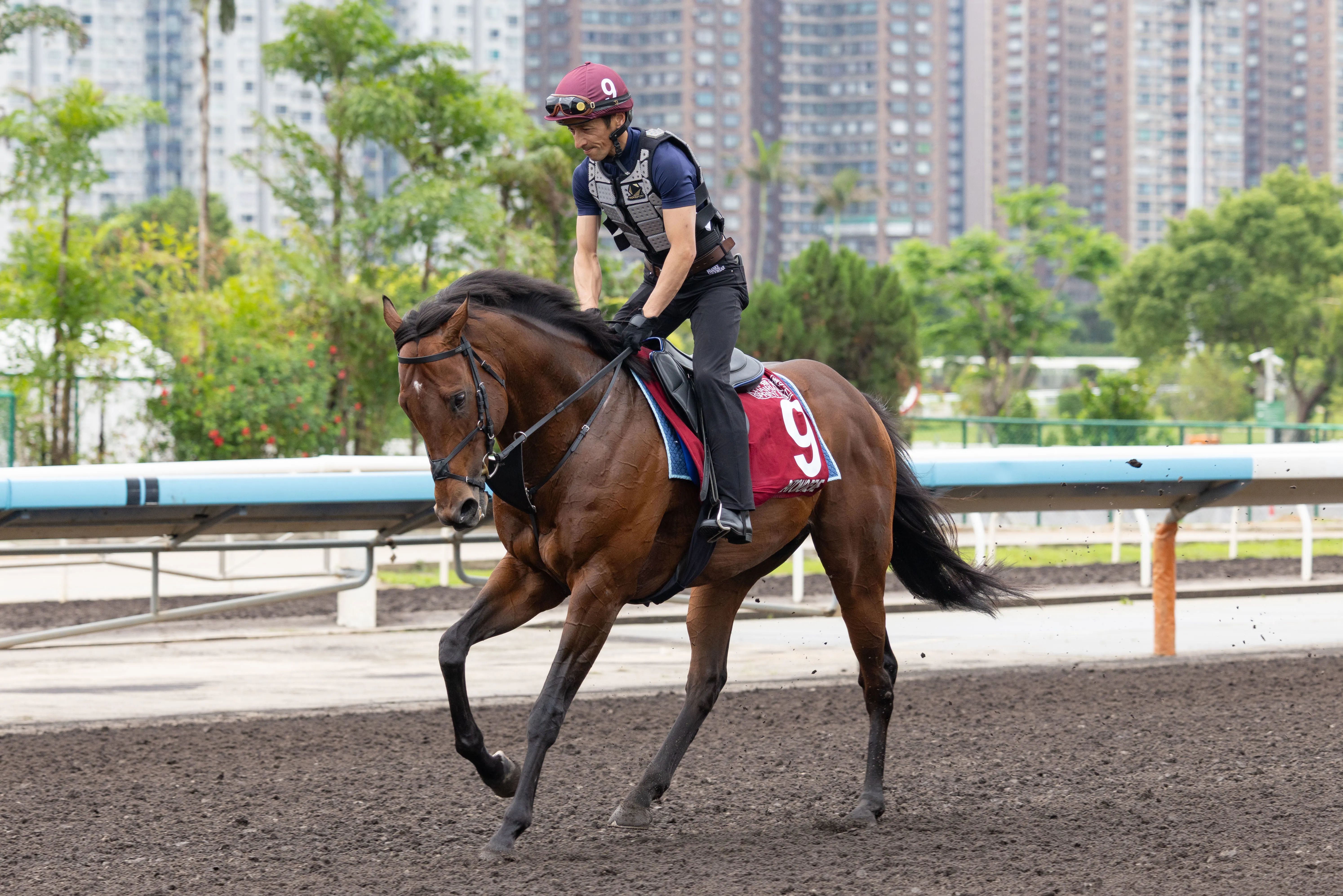 Satono Reve02.4.25.26.HKJC