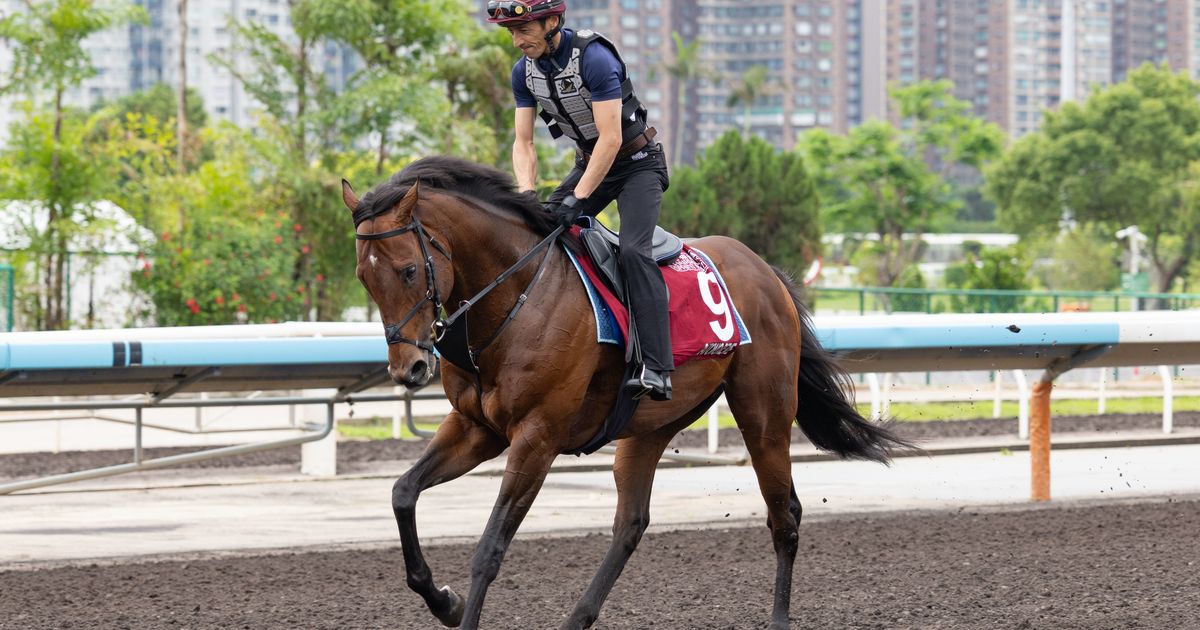 Royal Ascot 2026: Pair of foreigners have strong chance in Queen Elizabeth II Jubilee