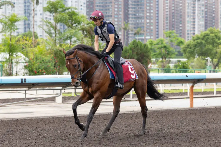 Satono Reve02.4.25.26.HKJC