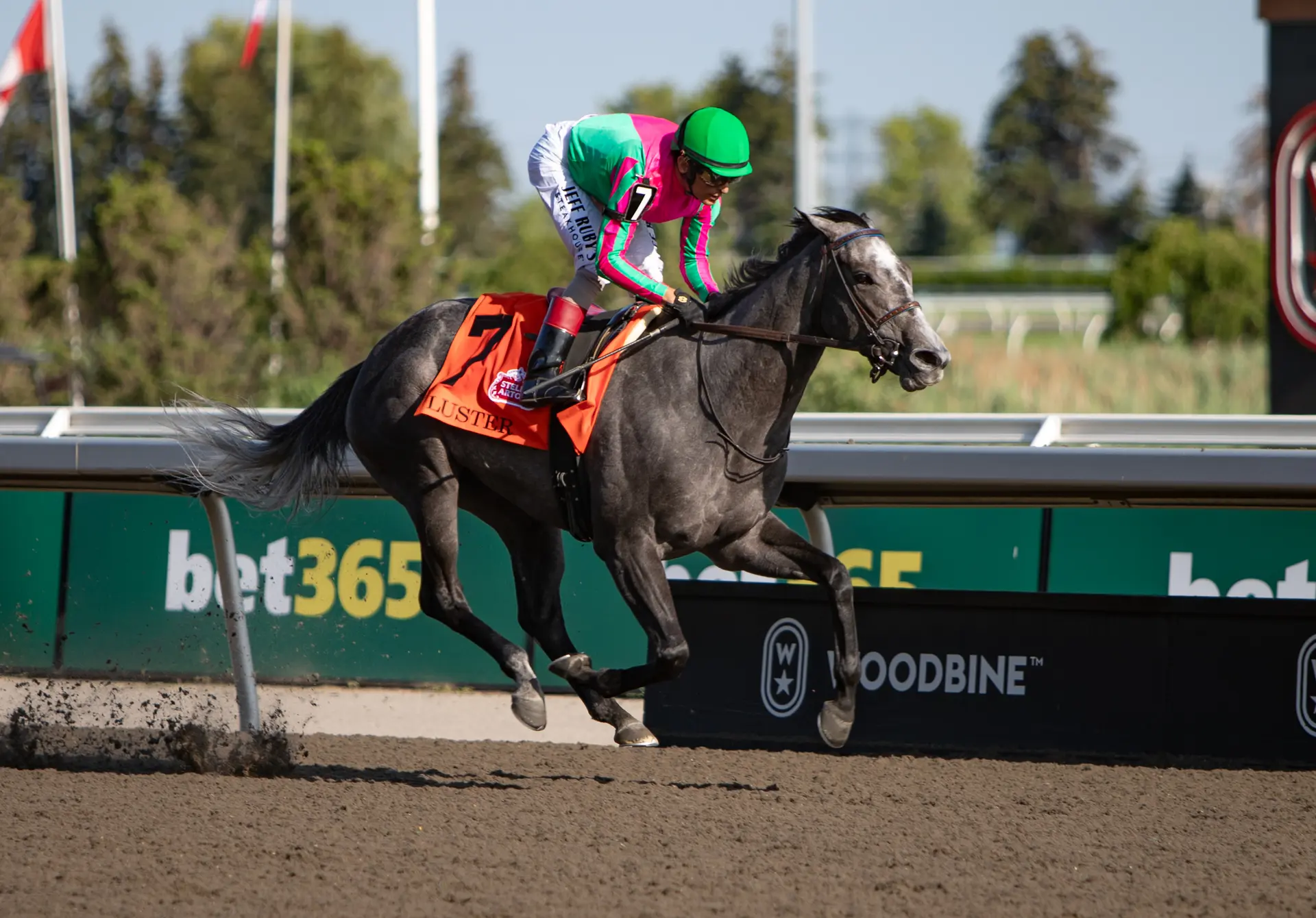 Luster establishes herself the King's Plate favorite with Woodbine Oaks romp