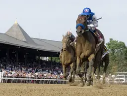 Nysos likely to join star-studded Whitney field