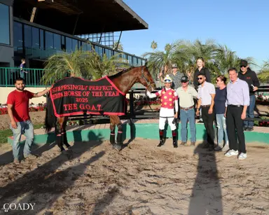 Surprsinglyperfect retired after 101st career race