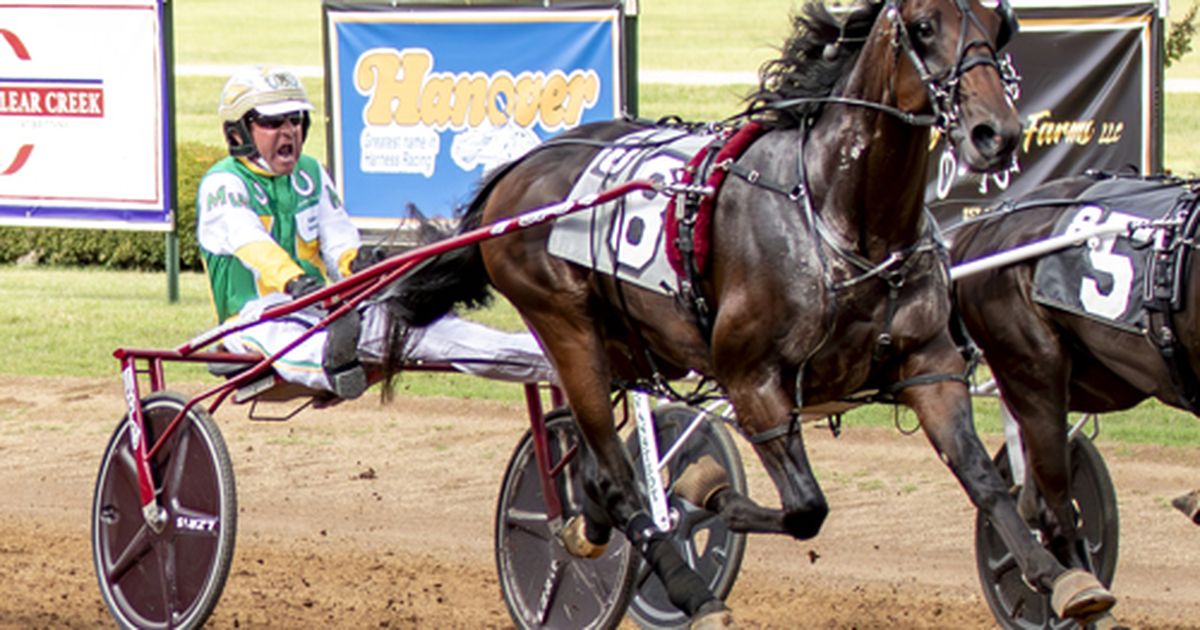 Red Mile: Mr Big Spender just misses world record in Bluegrass Series